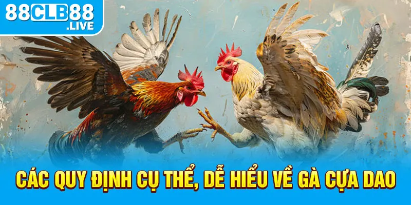 Các quy định cụ thể, dễ hiểu về gà cựa dao