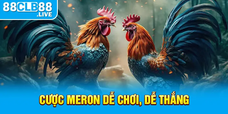 Cược Meron dễ chơi, dễ thắng