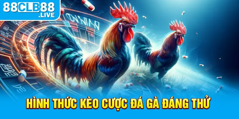 Hình thức kèo cược đá gà đáng thử