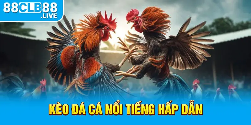 Kèo đá cá nổi tiếng hấp dẫn